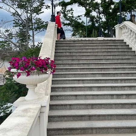 аркадия скай *