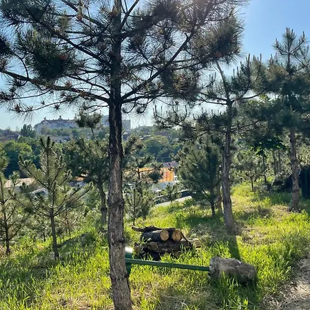 аркадия скай Appartement