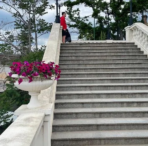 аркадия скай *