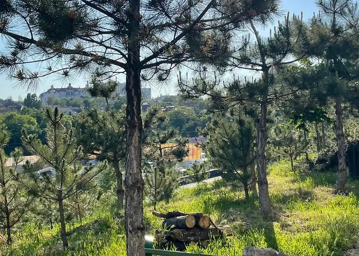 аркадия скай Appartement