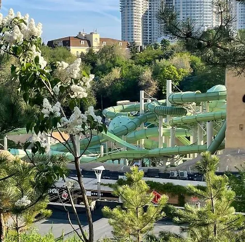 аркадия скай * Odessa