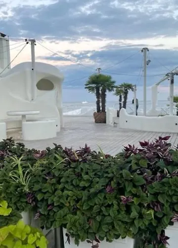 аркадия скай *